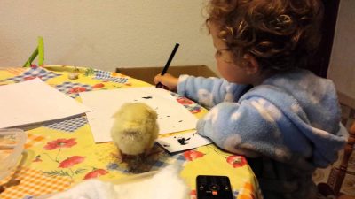 videos-divertidos-niños