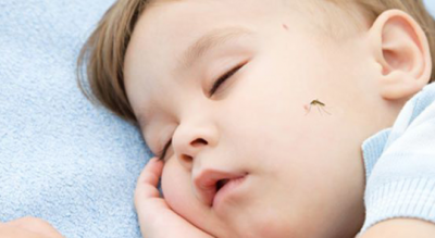 picaduras-mosquitos-niños
